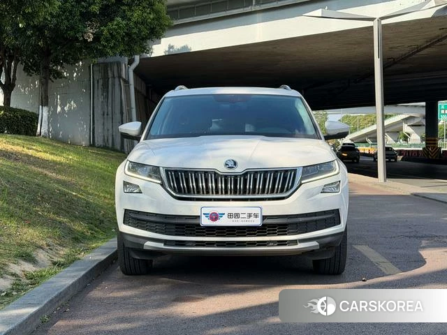 Skoda Kodiak id 4368252 из Китая 12