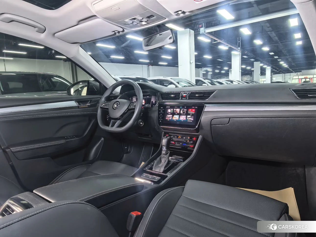 Skoda Speed pie id 4452178 из Китая 24