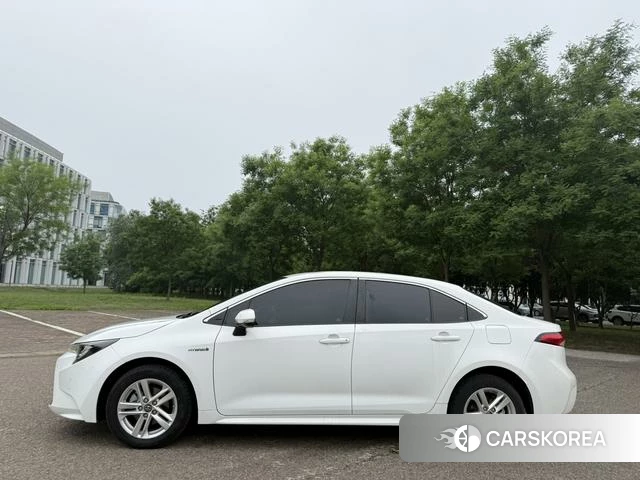 Toyota Lei Ling id 4399778 из Китая 9