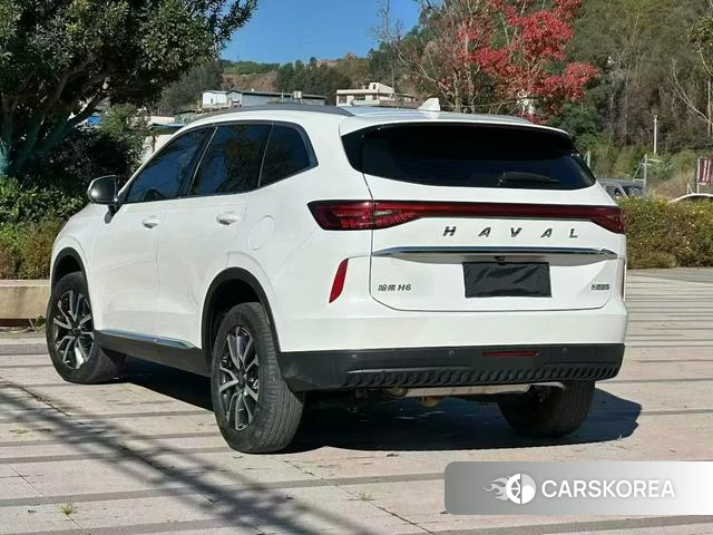 Haval H6 id 4222039 из Китая 9