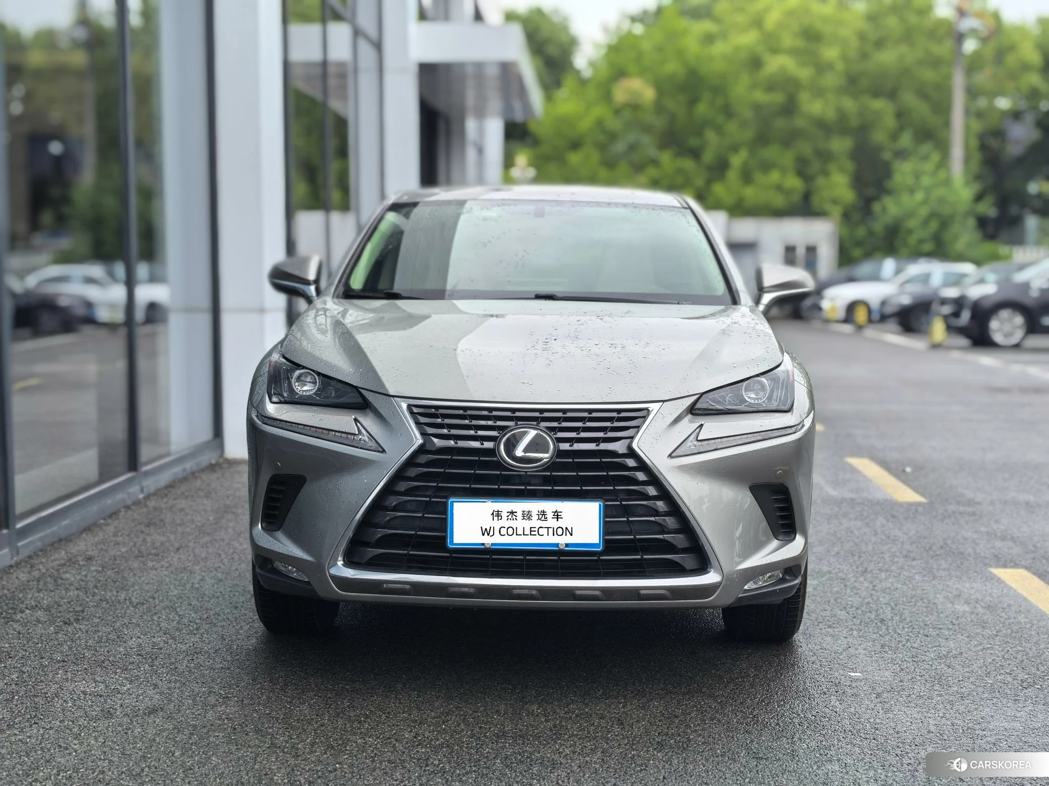 Lexus NX id 4455427 из Китая 11