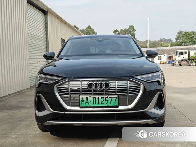 Audi e-tron id 4220967 из Китая 10