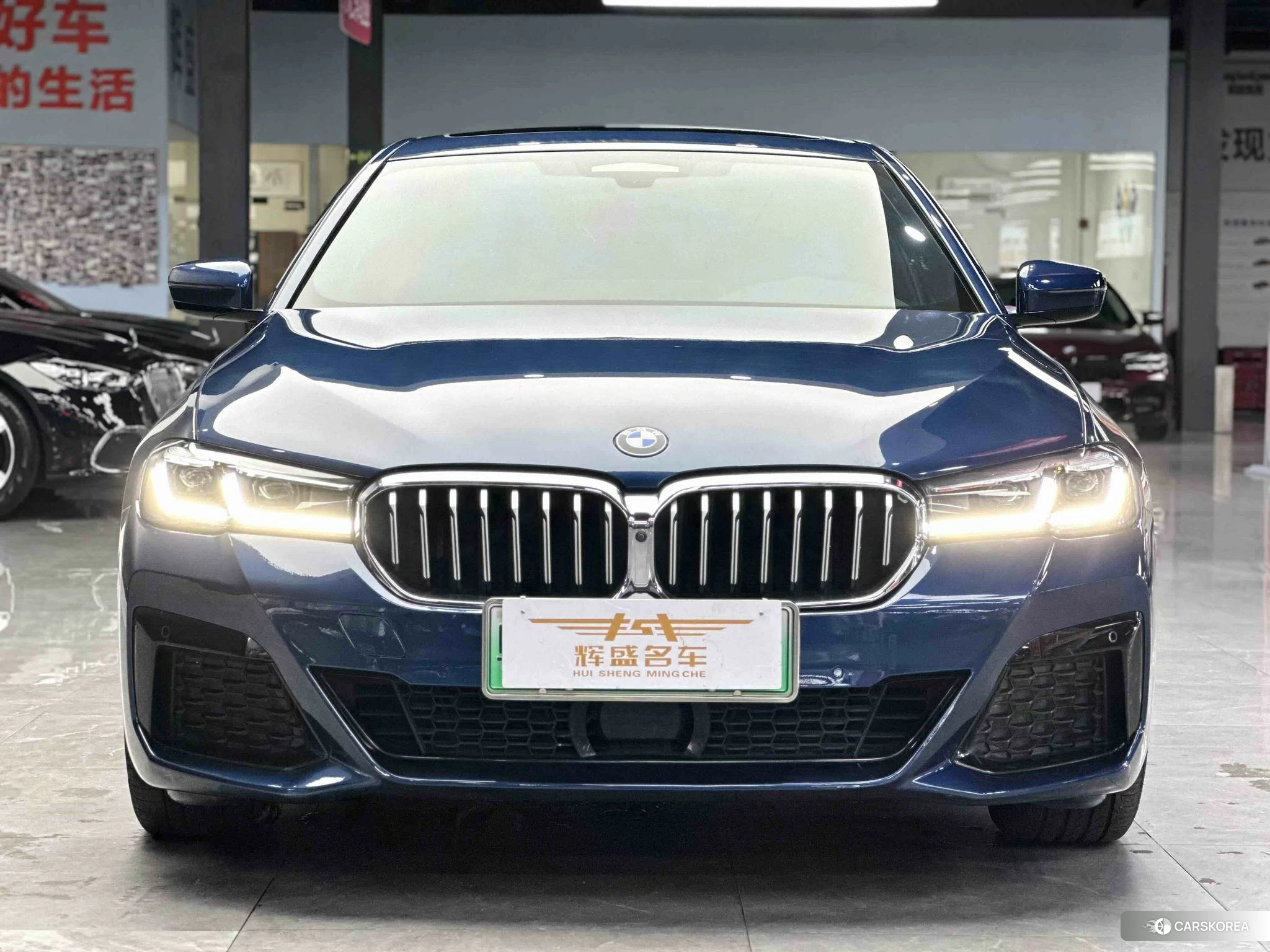 BMW 5 series PHEV id 4452161 из Китая 9