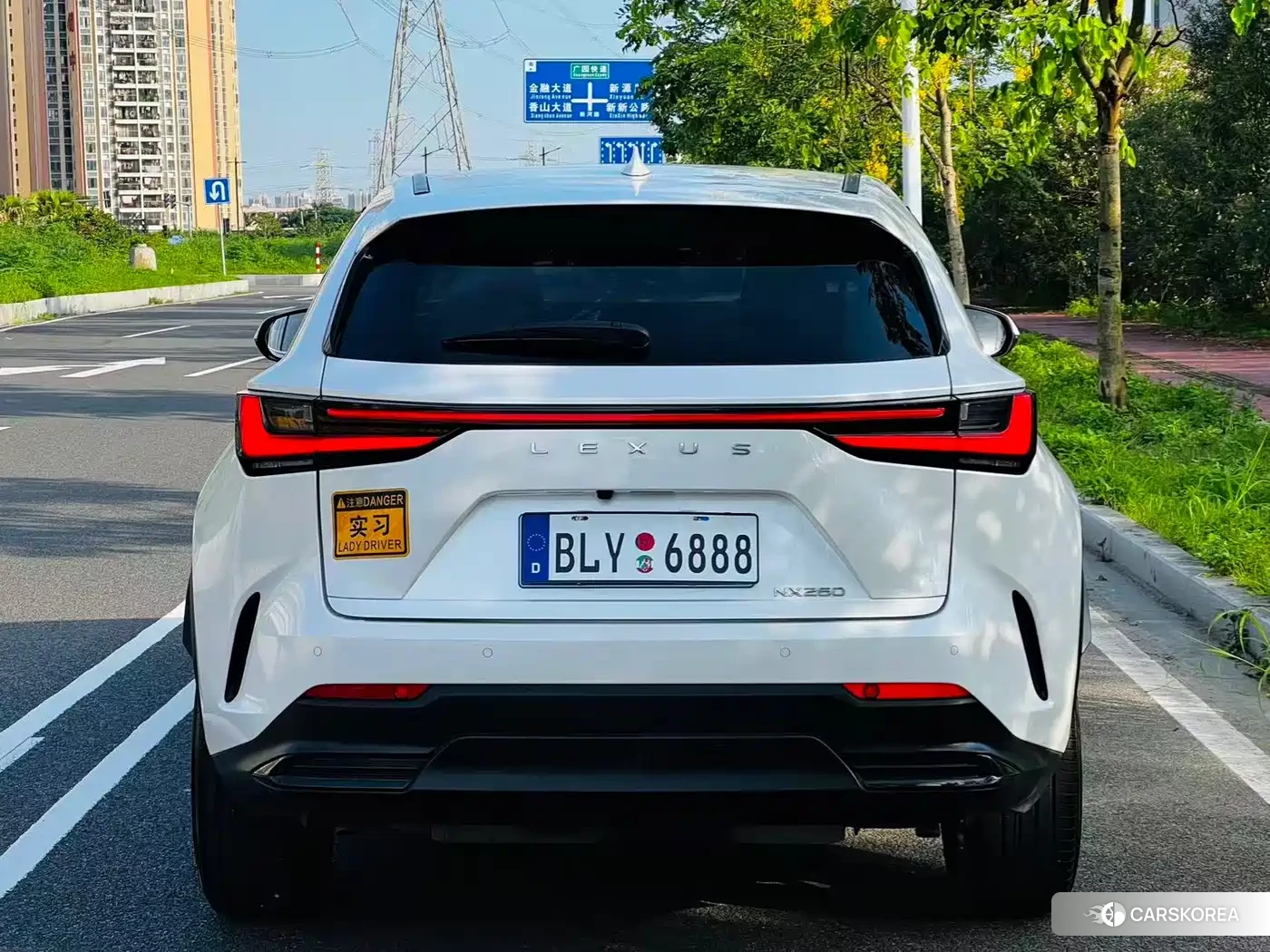 Lexus NX id 4514126 из Китая 12