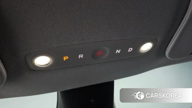 Tesla Model Y id 3614362 из Кореи 19