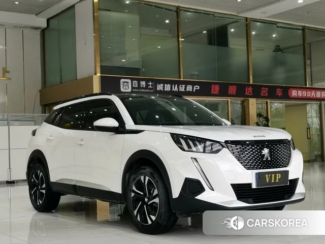 Peugeot 2008 id 3919268 из Китая 21