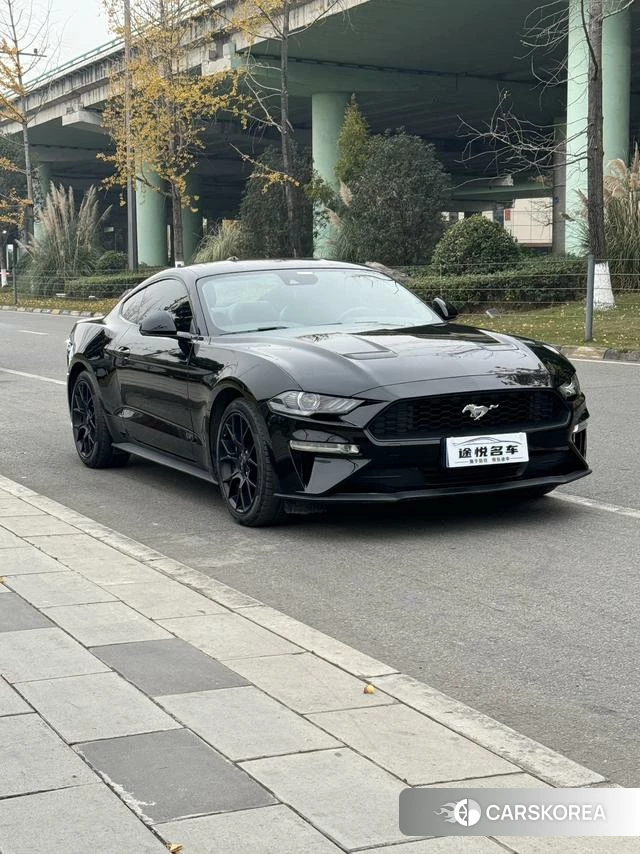 Ford Mustang id 4217491 из Китая 9