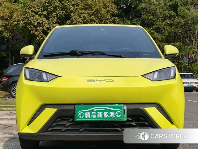 BYD Seagull id 4235637 из Китая 22