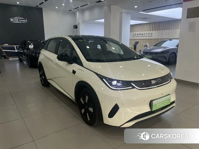 BYD dolphin id 3939402 из Китая 10