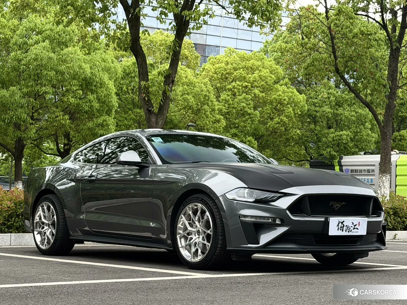 Ford Mustang id 4419140 из Китая 13