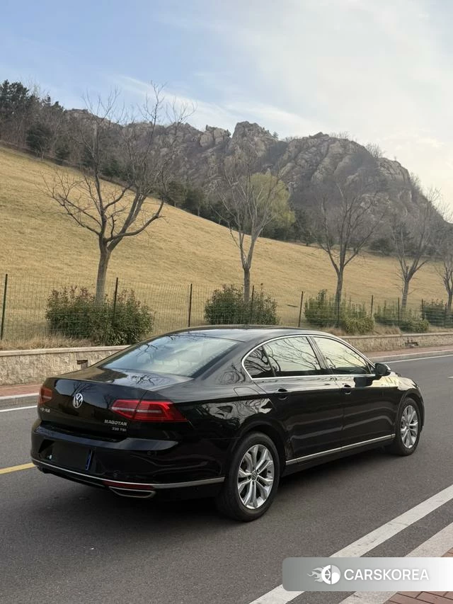 Volkswagen Magotan id 3896031 из Китая 11