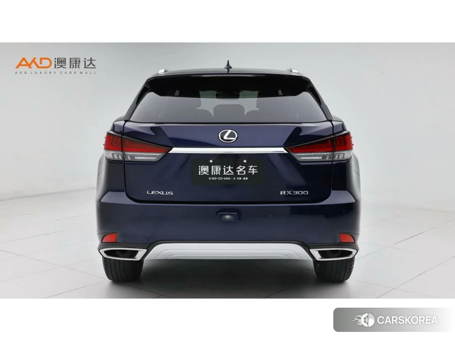 Lexus RX id 4454473 из Китая 9