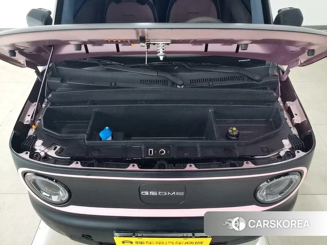 Geely Galaxy panda id 4253153 из Китая 19