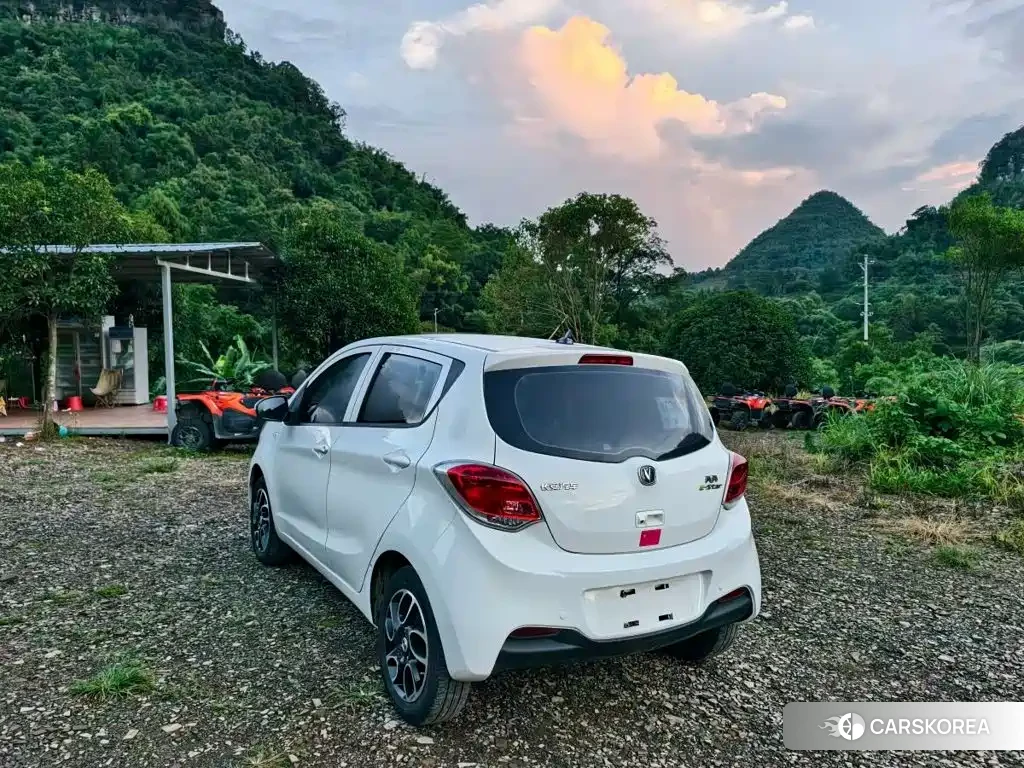 Chang'an Benben E-Star id 4628301 из Китая 9