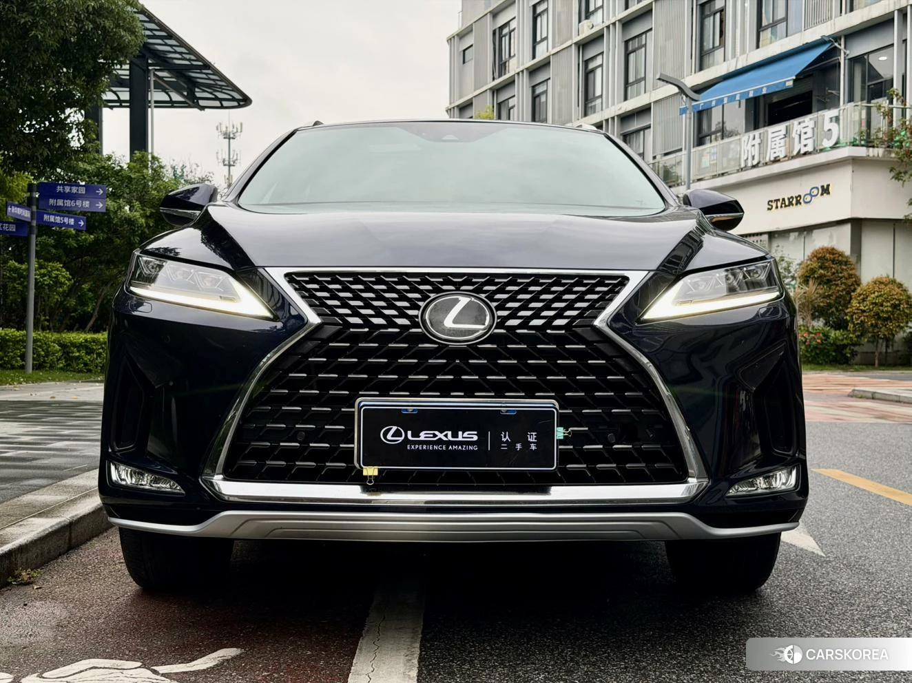 Lexus RX id 4413251 из Китая 20