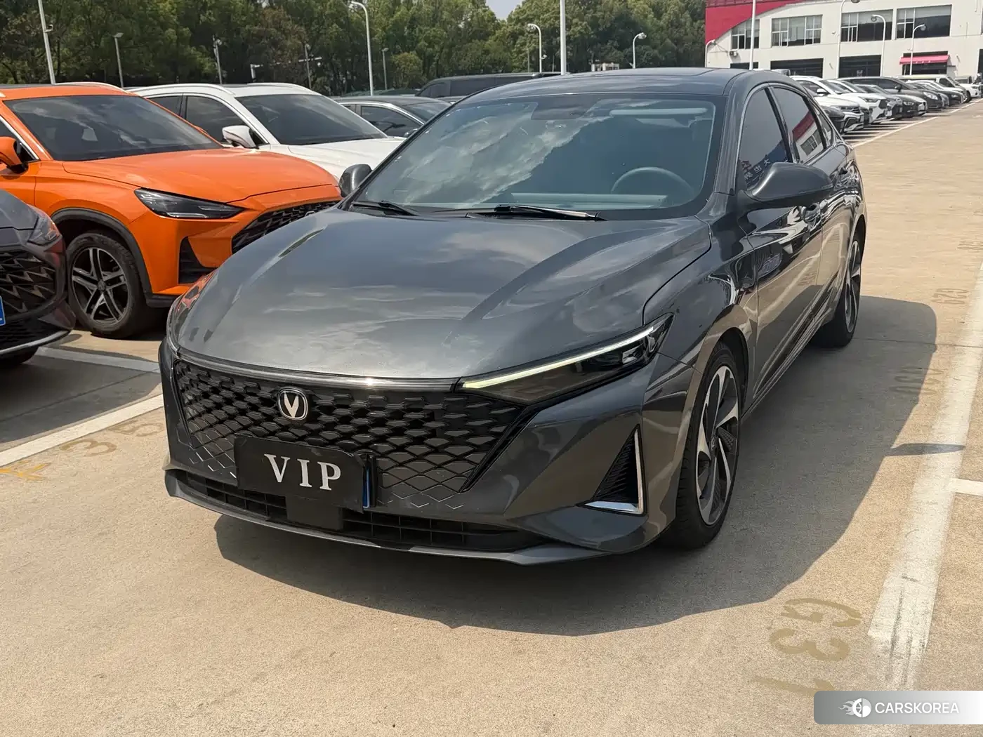 Chang'an Ruicheng PLUS id 4546333 из Китая 12
