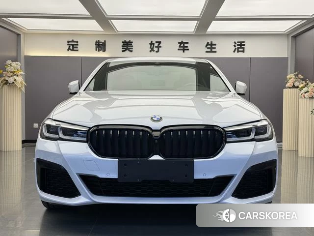 BMW 5 series PHEV id 4215755 из Китая 9