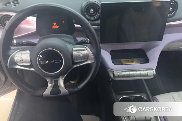 BYD dolphin id 4254818 из Китая 16