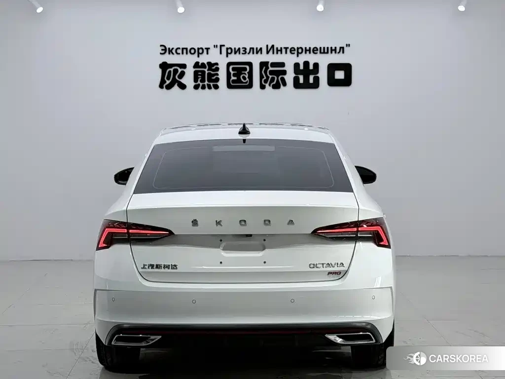 Skoda Octavia id 4565101 из Китая 16