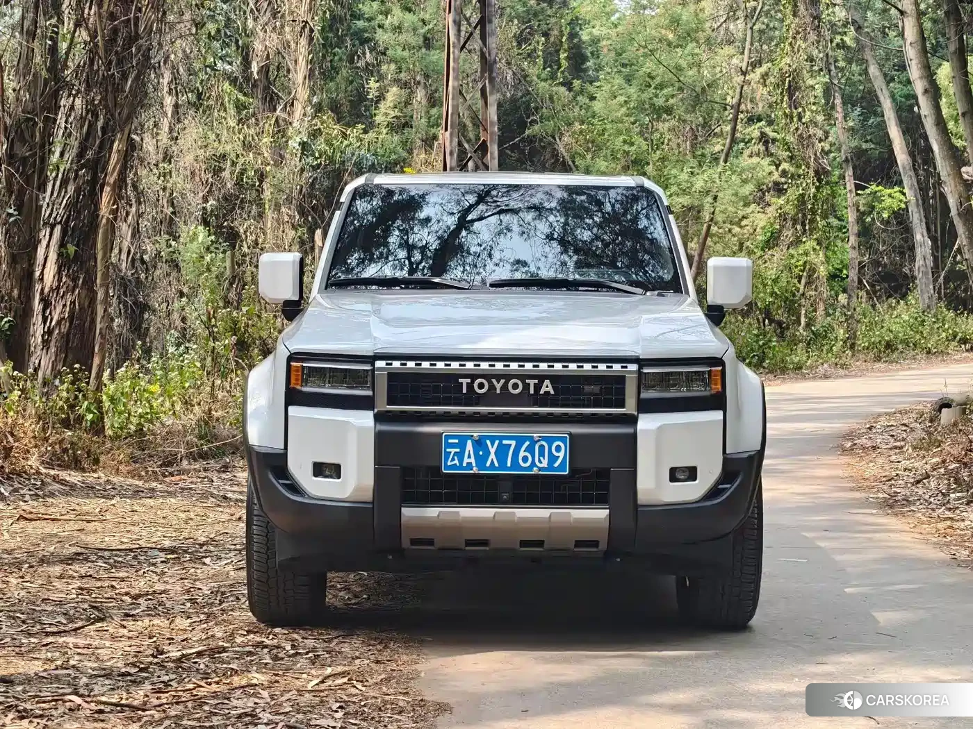 Toyota Prado id 4600726 из Китая 18