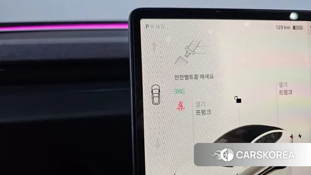 Tesla Model 3 id 3333063 из Кореи 19