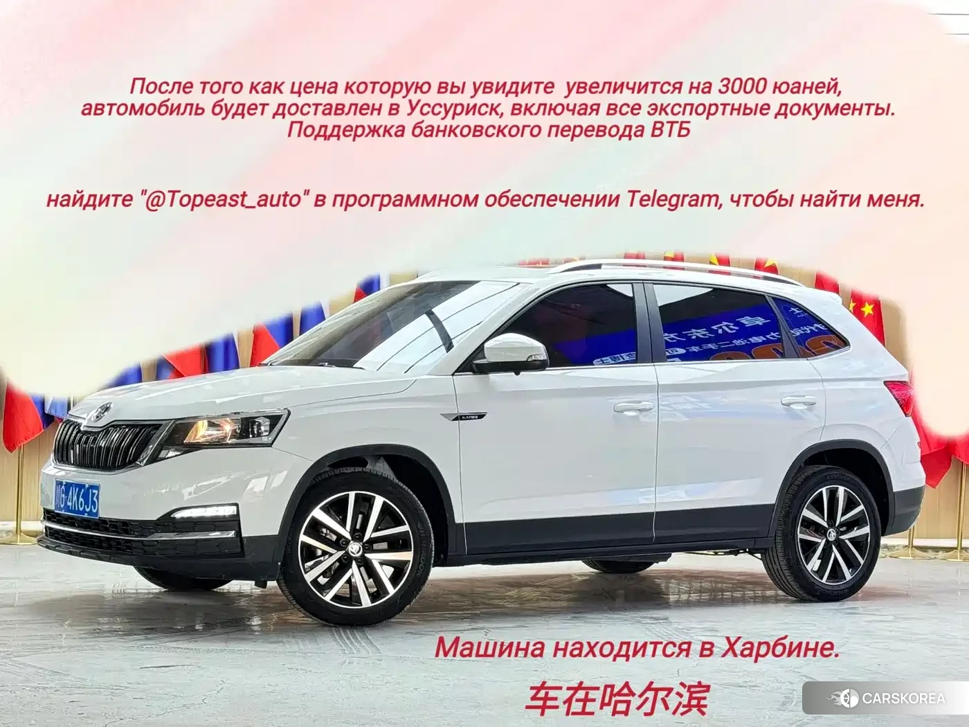 Skoda Kamiq id 4589139 из Китая 20