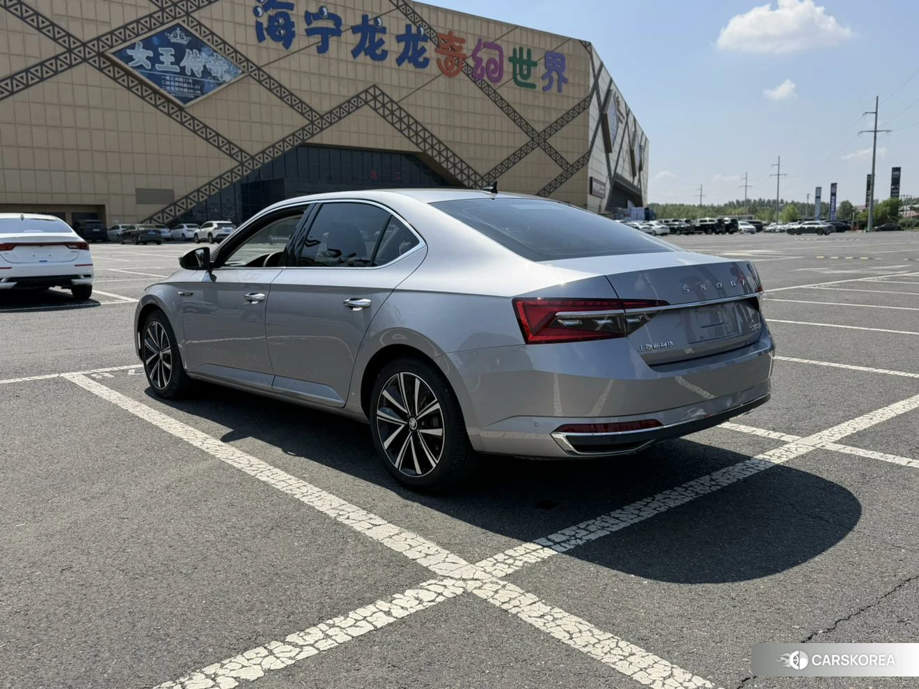 Skoda Speed pie id 4452207 из Китая 25