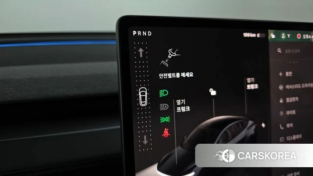 Tesla Model Y id 4315060 из Кореи 34