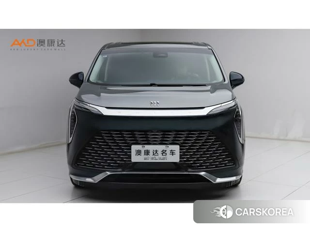 Buick century id 4238734 из Китая 8