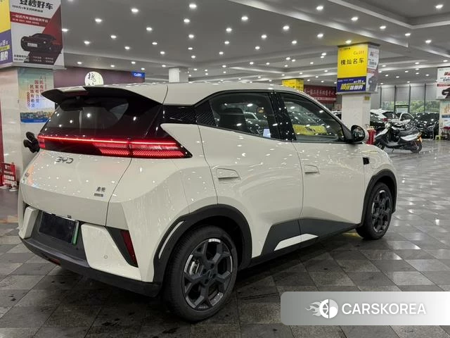 BYD Seagull id 4236245 из Китая 9