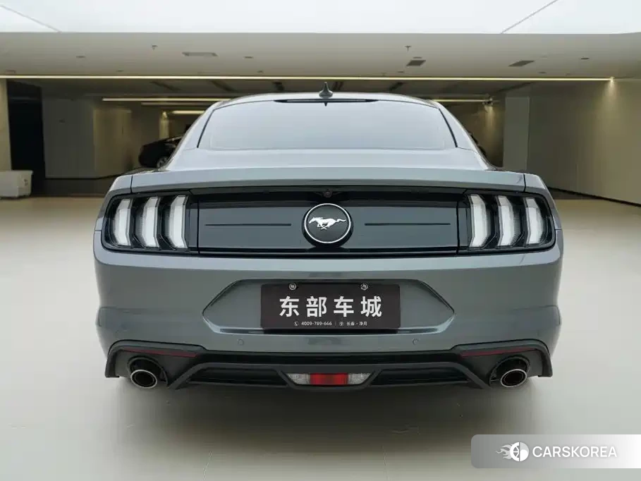 Ford Mustang id 4583857 из Китая 17