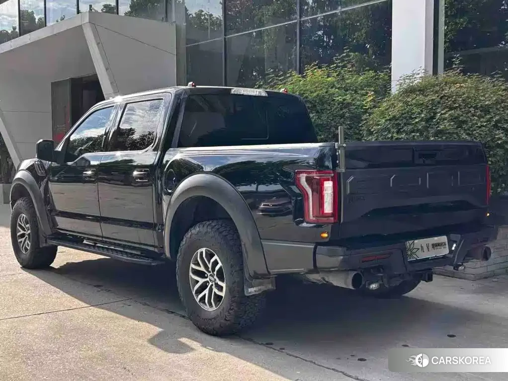 Ford F-150 id 4600493 из Китая 9