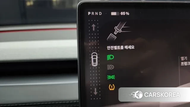 Tesla Model Y id 3502274 из Кореи 19