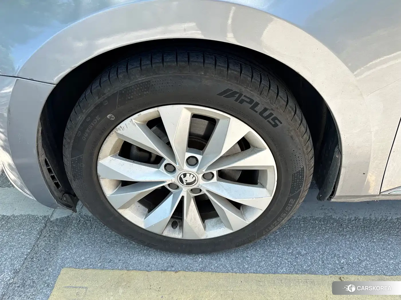 Skoda Speed pie id 4576643 из Китая 15