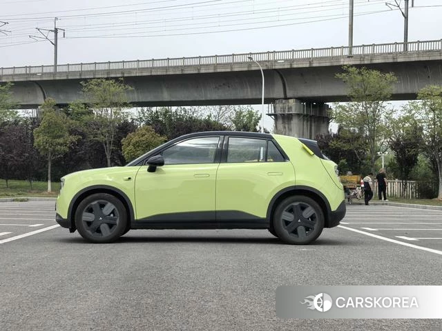 firefly firefly Unknown id 4182650 из Китая 13