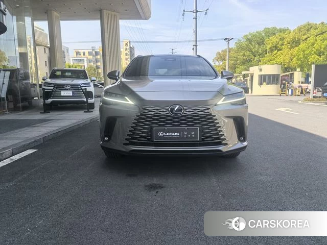 Lexus RX PHEV id 4240276 из Китая 16