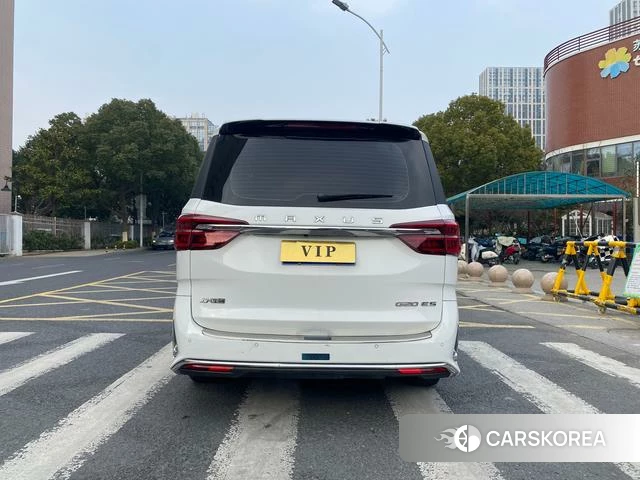 Chase G20 id 4241456 из Китая 9