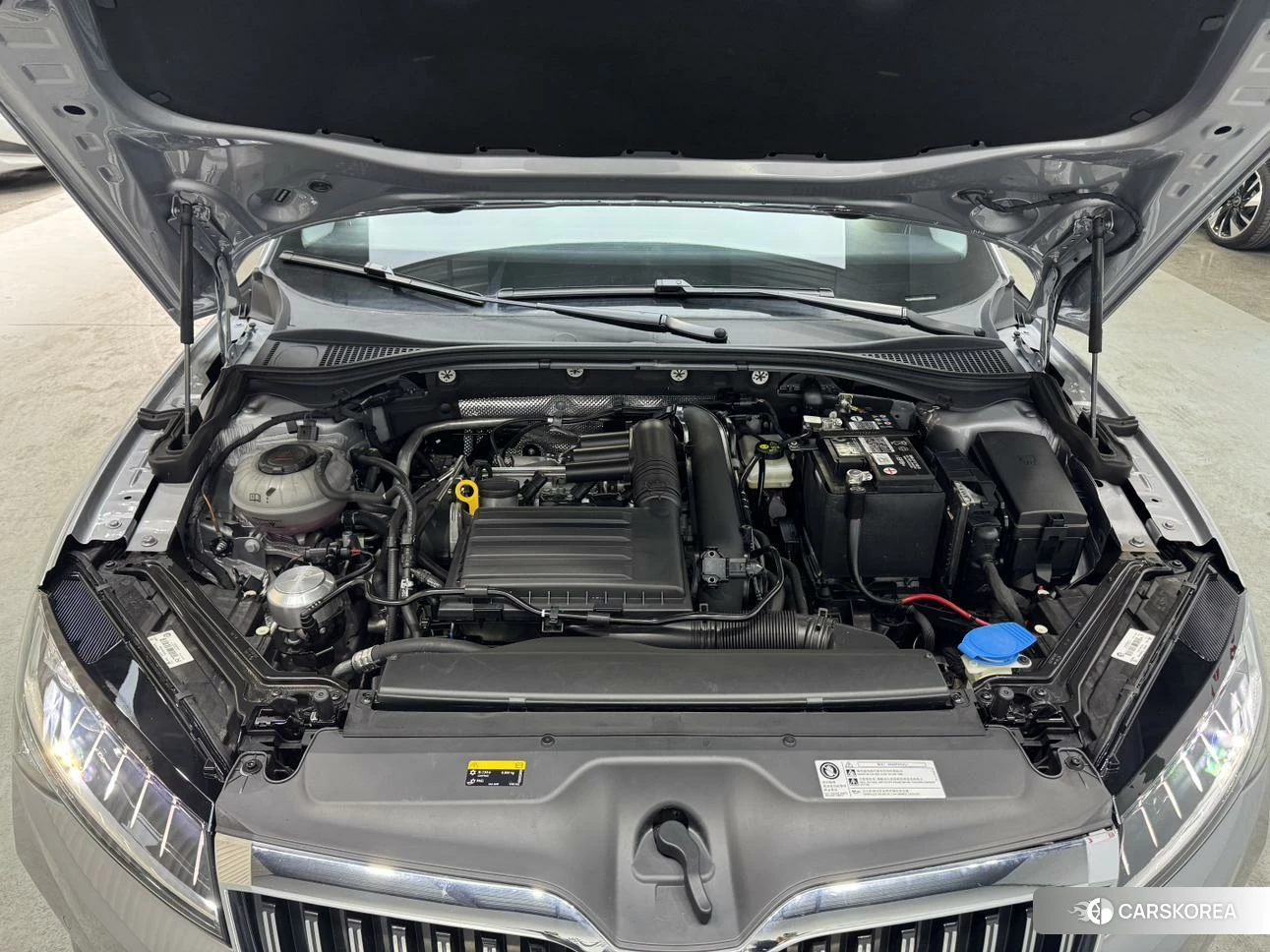 Skoda Speed pie id 4453120 из Китая 22