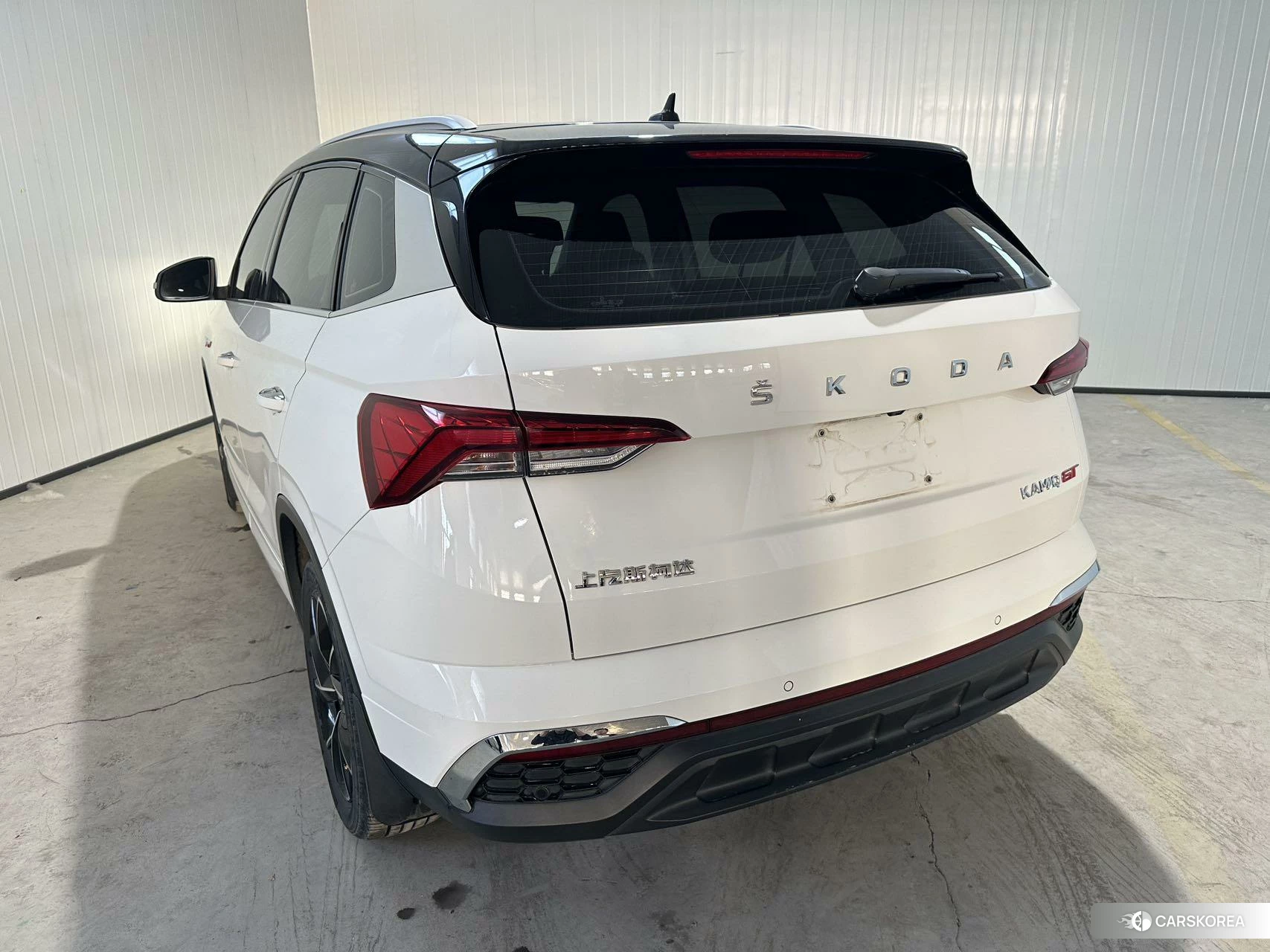 Skoda Kamiq id 4454268 из Китая 19