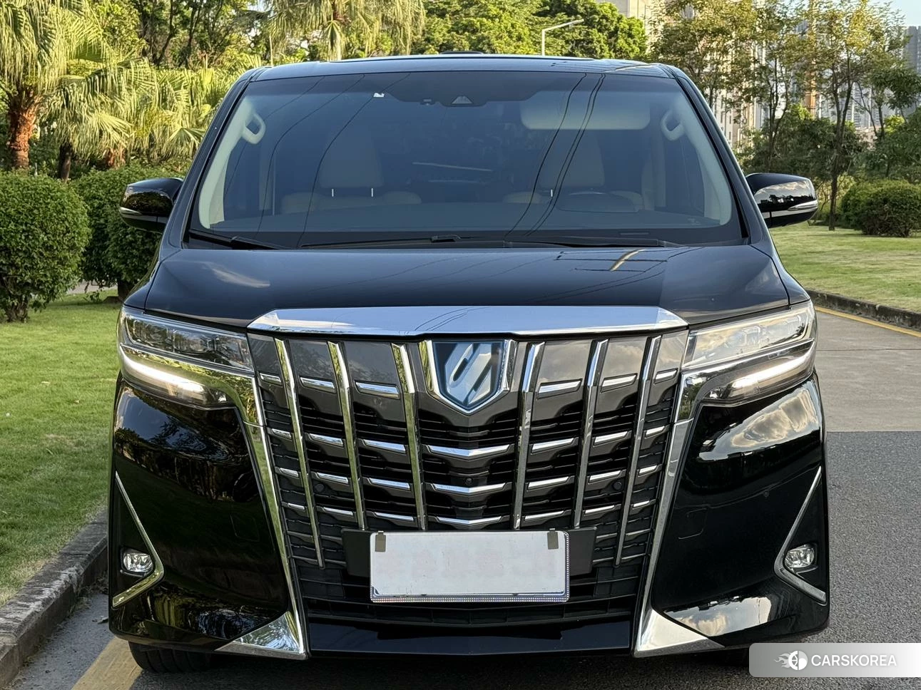 Toyota Elfa id 4487534 из Китая 15