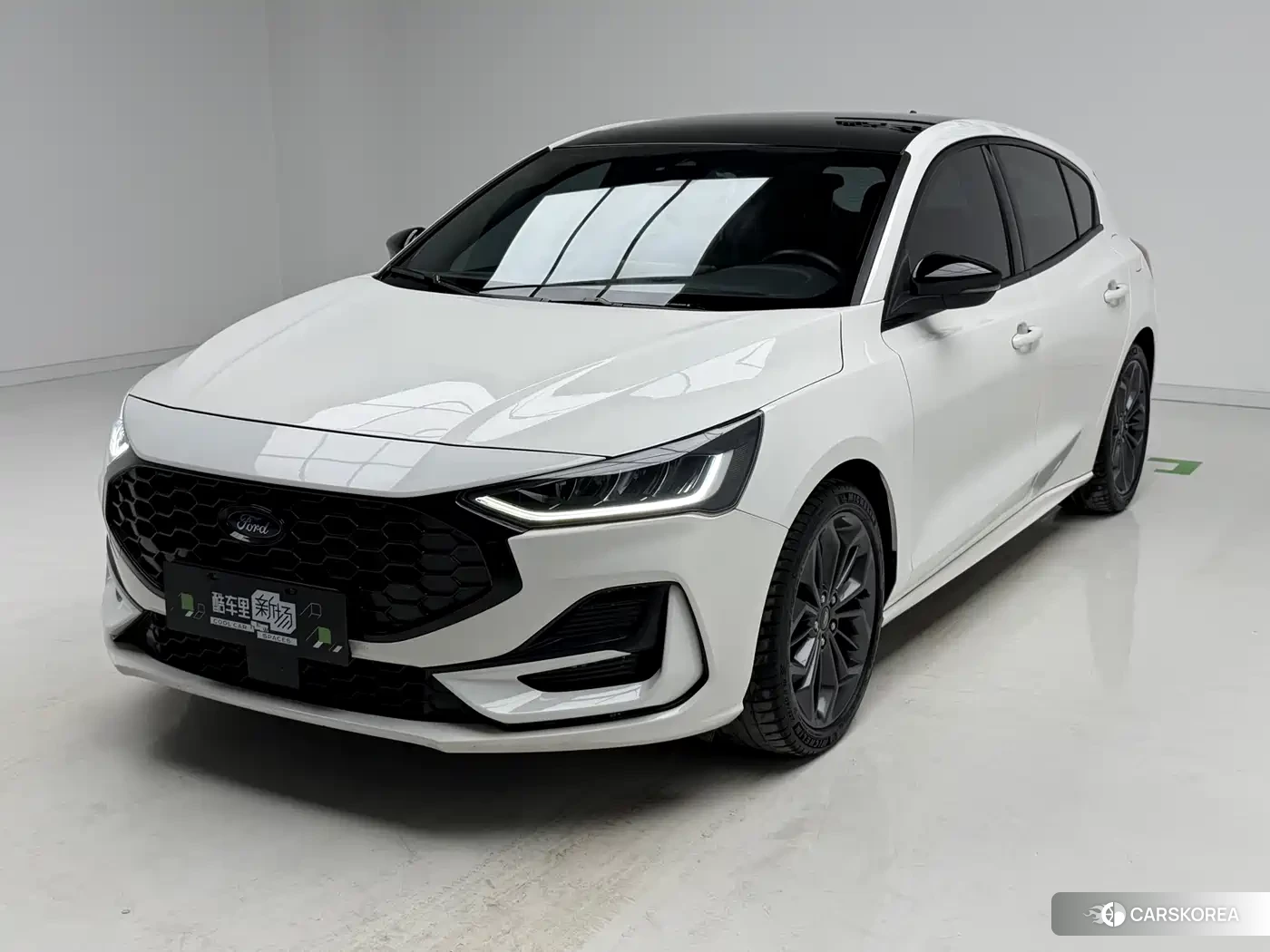 Ford Fox id 4659856 из Китая 17