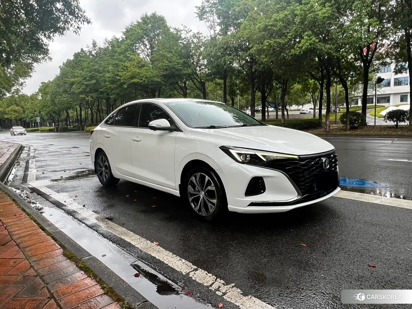 Chang'an Yidong id 4607002 из Китая 9