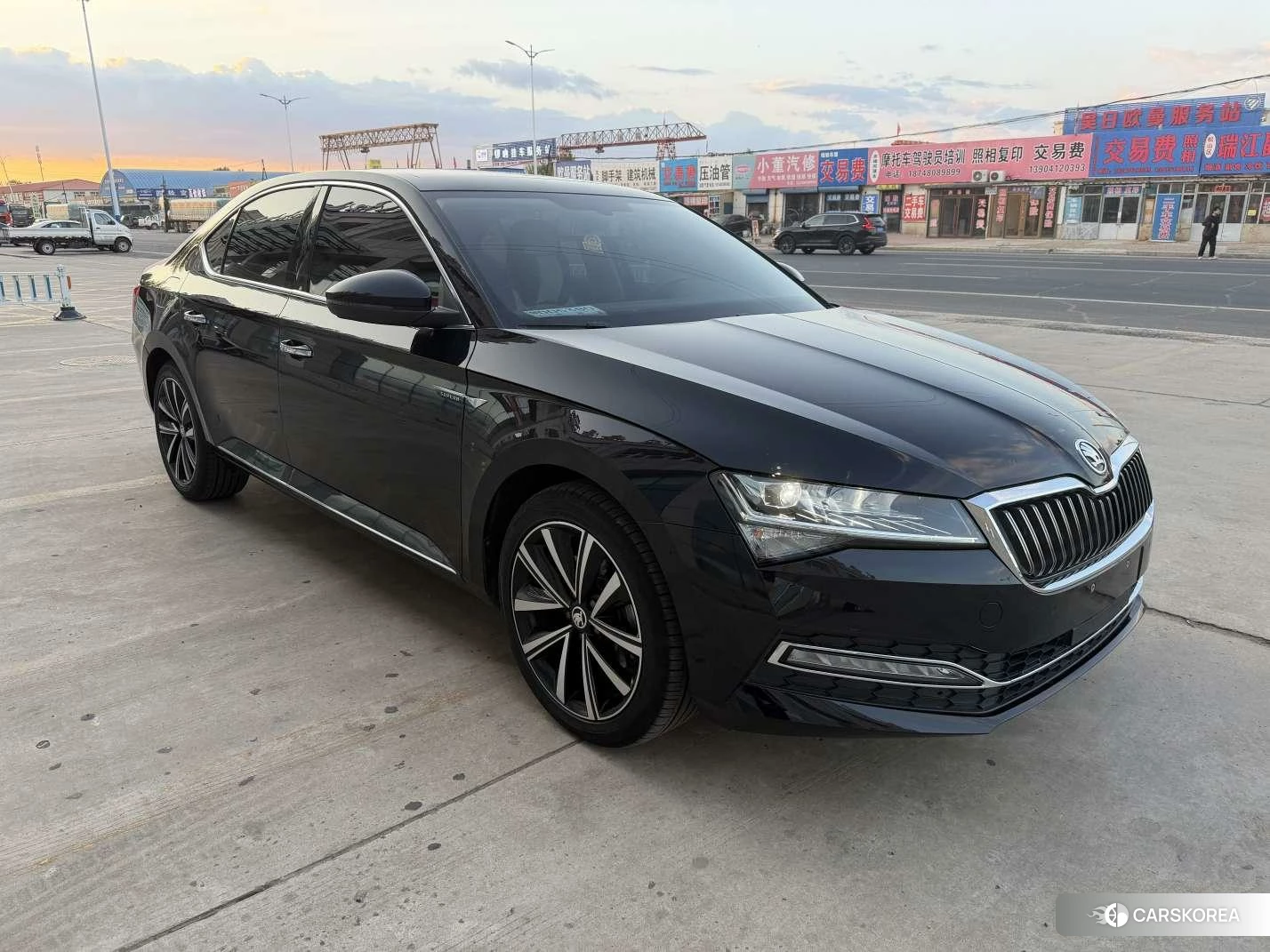 Skoda Speed pie id 4513867 из Китая 10