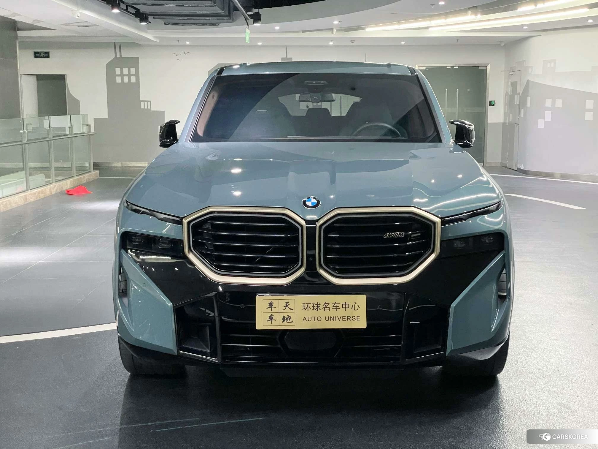 BMW XM id 4440317 из Китая 22