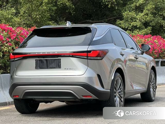 Lexus RX id 4291278 из Китая 16
