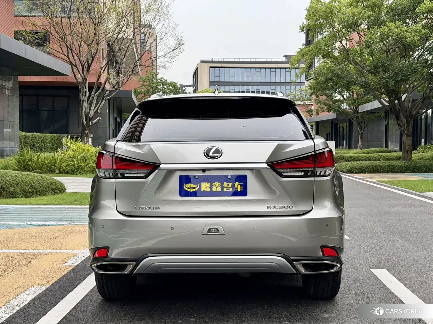 Lexus RX id 4622533 из Китая 25
