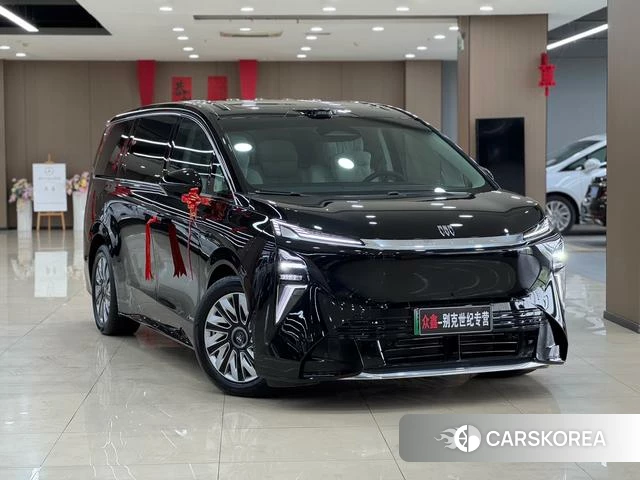 Buick Zhijing Family id 4235924 из Китая 15