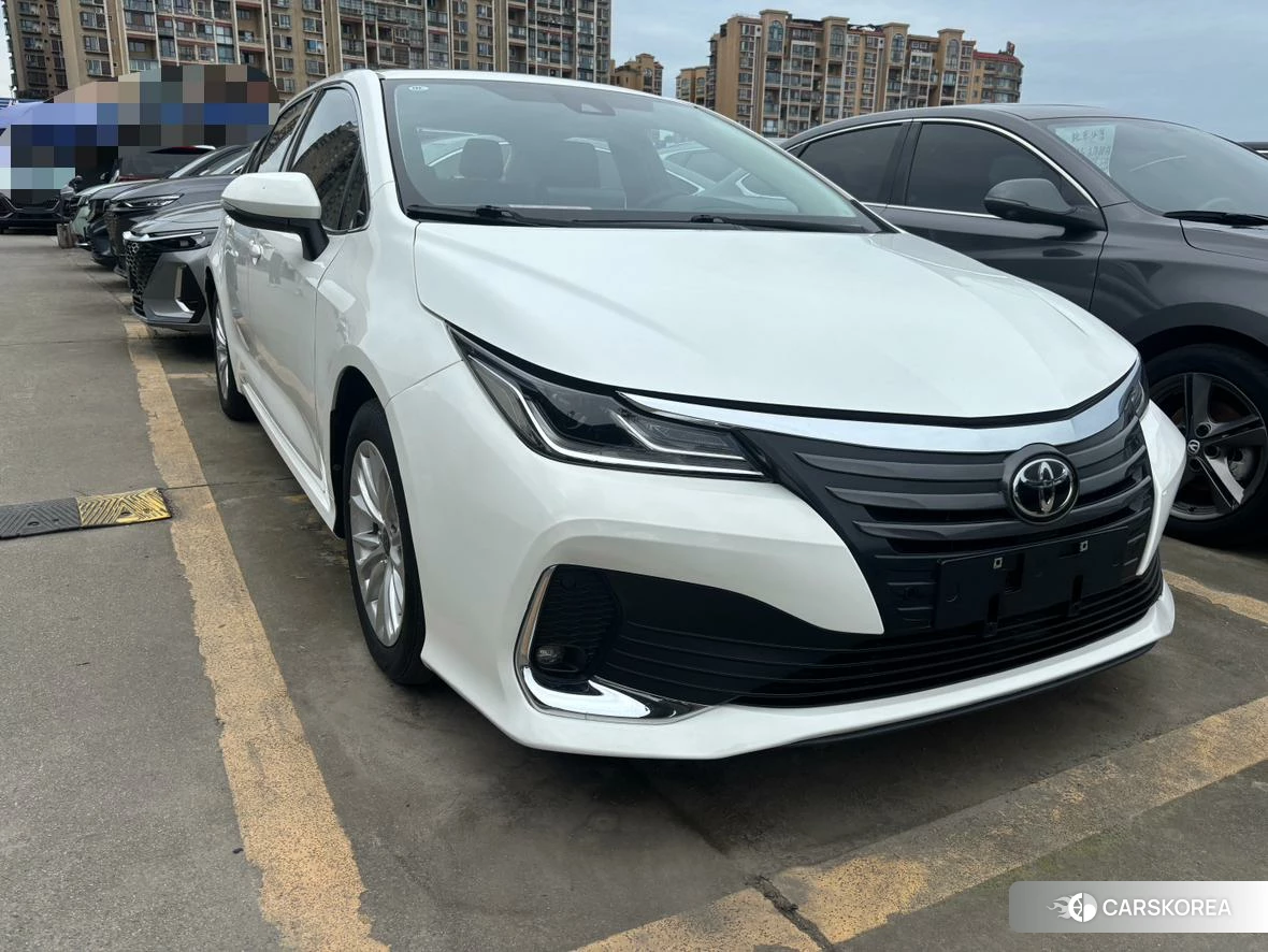 Toyota Asian lion id 4440887 из Китая 17