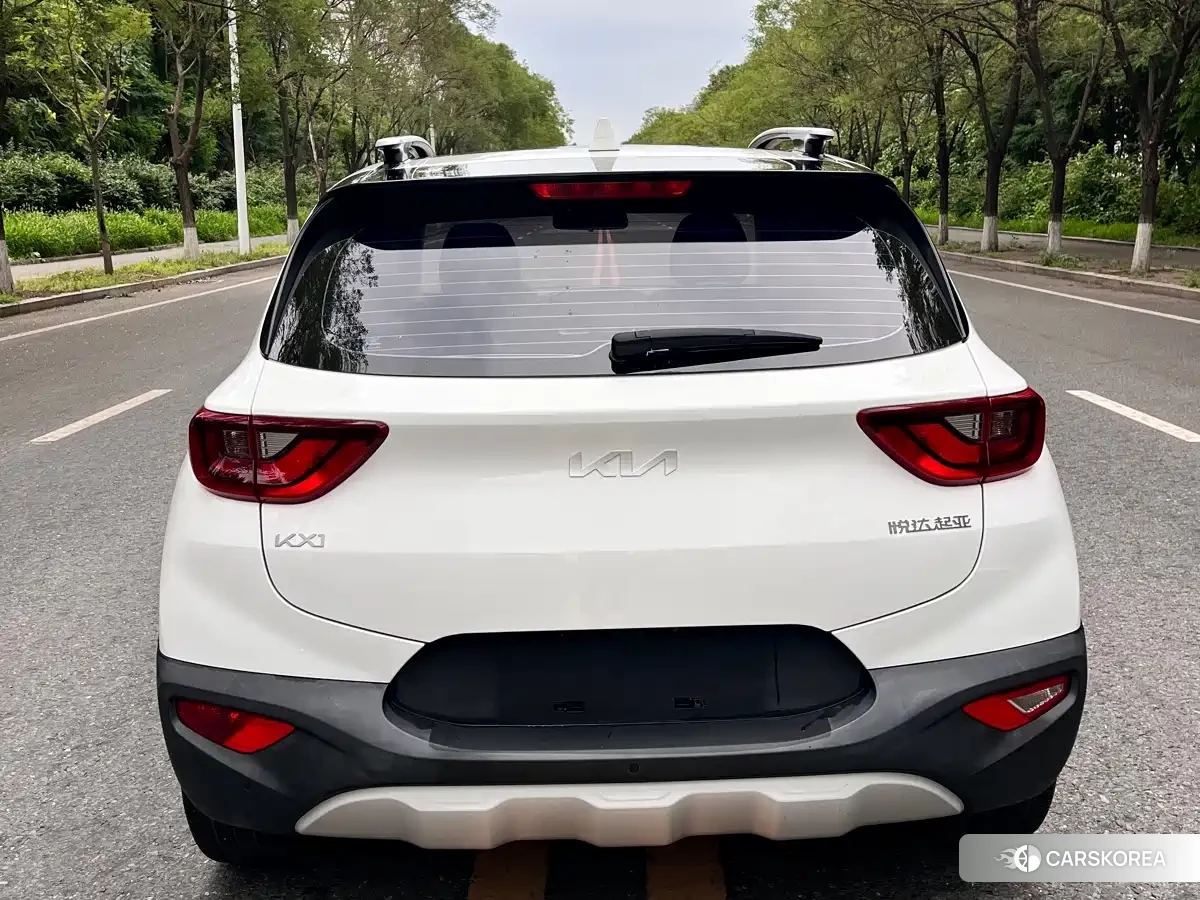 Kia Yi Ran id 4570408 из Китая 14