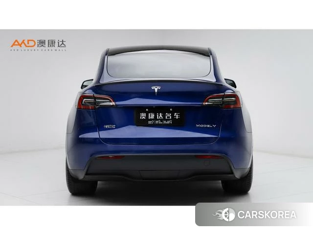 Tesla Model Y id 4238574 из Китая 9